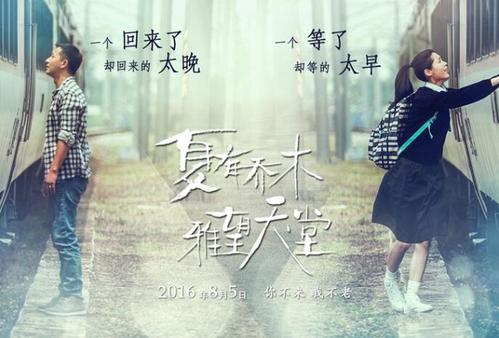 办理假会计师证多少钱